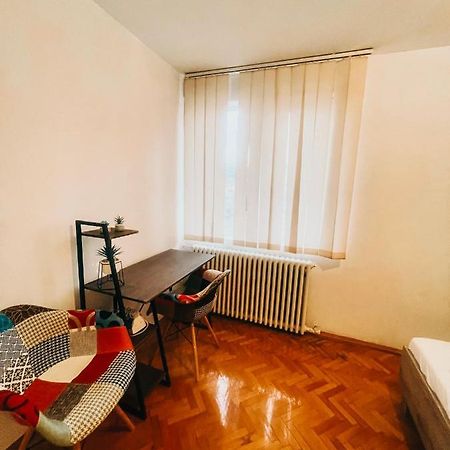 Ultracentral Big Apartment - Near The Opera Square P17 蒂米什瓦拉 外观 照片