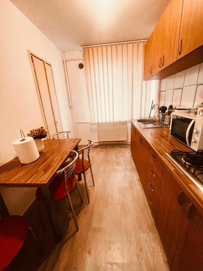 Ultracentral Big Apartment - Near The Opera Square P17 蒂米什瓦拉 外观 照片