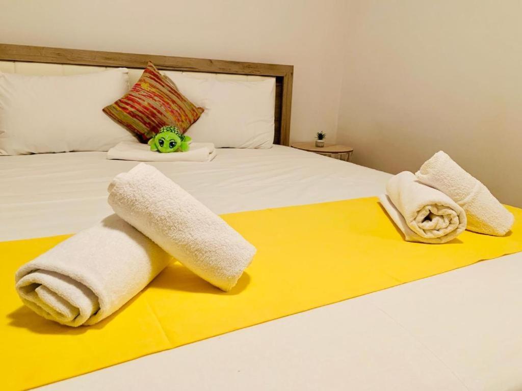 Ultracentral Big Apartment - Near The Opera Square P17 蒂米什瓦拉 外观 照片