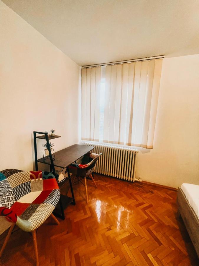 Ultracentral Big Apartment - Near The Opera Square P17 蒂米什瓦拉 外观 照片