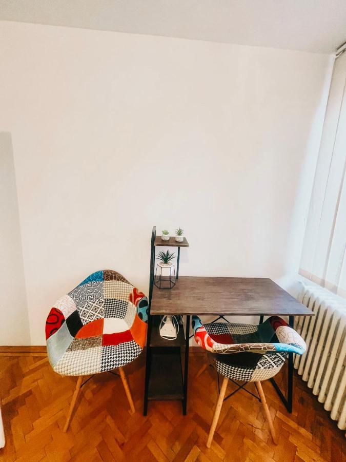 Ultracentral Big Apartment - Near The Opera Square P17 蒂米什瓦拉 外观 照片