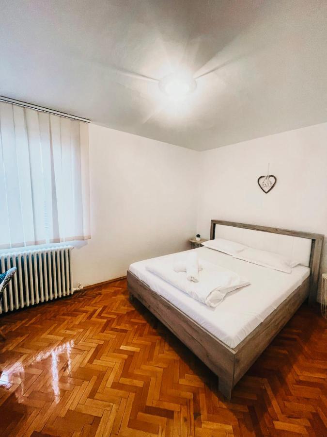 Ultracentral Big Apartment - Near The Opera Square P17 蒂米什瓦拉 外观 照片