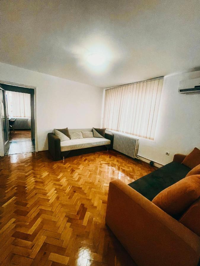 Ultracentral Big Apartment - Near The Opera Square P17 蒂米什瓦拉 外观 照片