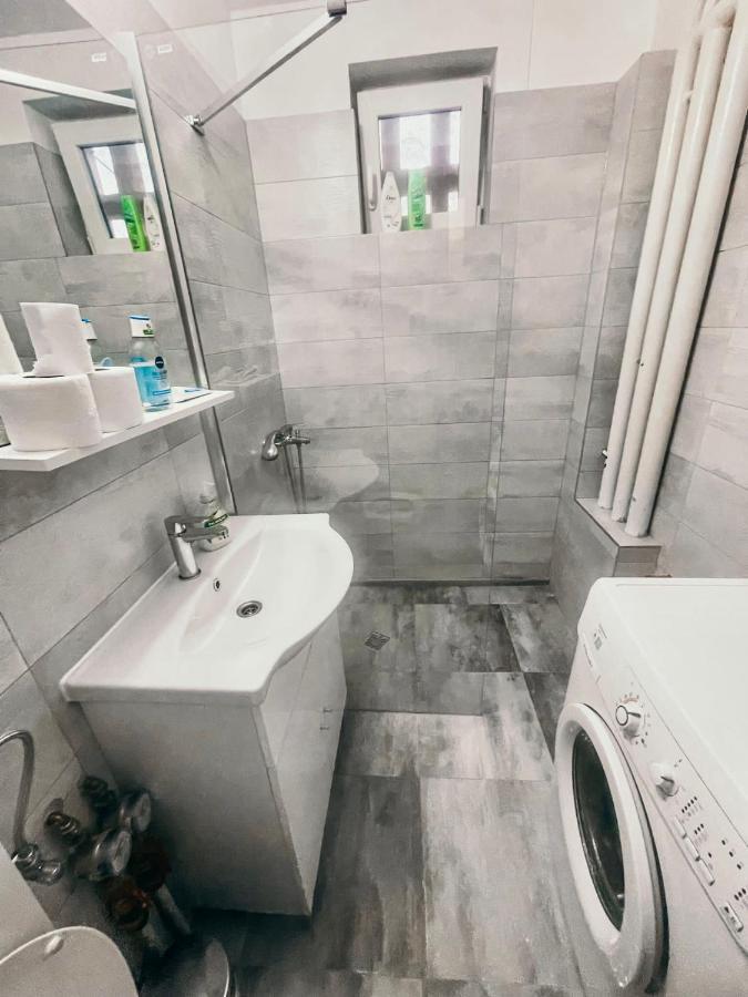 Ultracentral Big Apartment - Near The Opera Square P17 蒂米什瓦拉 外观 照片