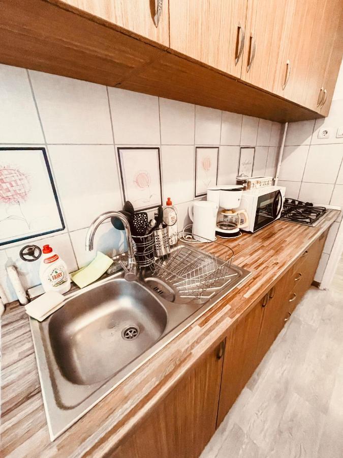Ultracentral Big Apartment - Near The Opera Square P17 蒂米什瓦拉 外观 照片