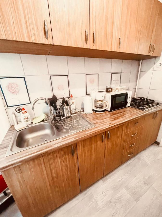 Ultracentral Big Apartment - Near The Opera Square P17 蒂米什瓦拉 外观 照片