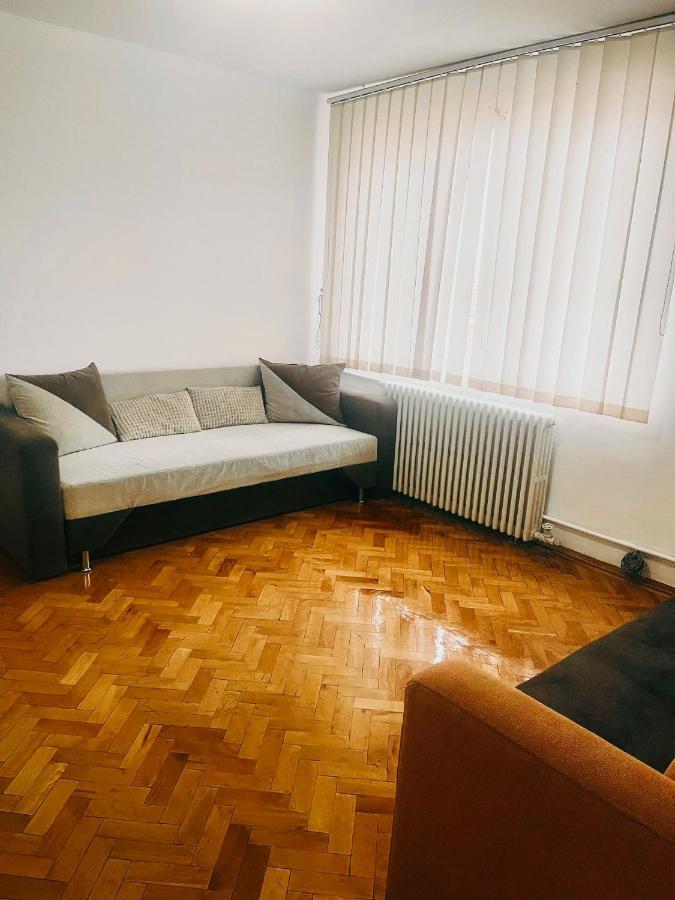 Ultracentral Big Apartment - Near The Opera Square P17 蒂米什瓦拉 外观 照片
