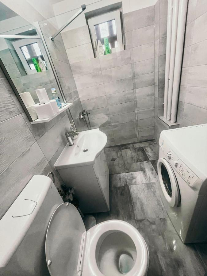 Ultracentral Big Apartment - Near The Opera Square P17 蒂米什瓦拉 外观 照片