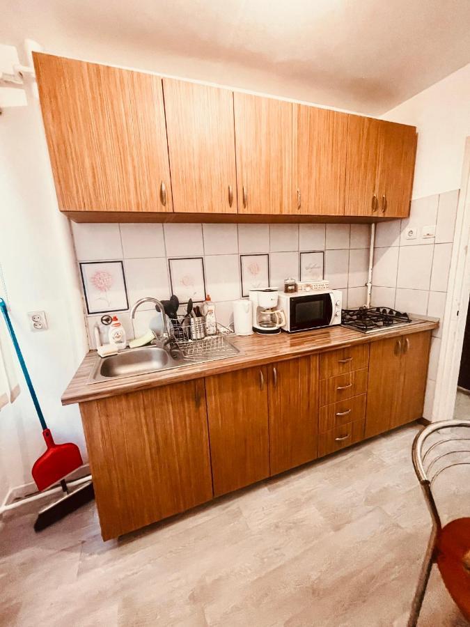 Ultracentral Big Apartment - Near The Opera Square P17 蒂米什瓦拉 外观 照片