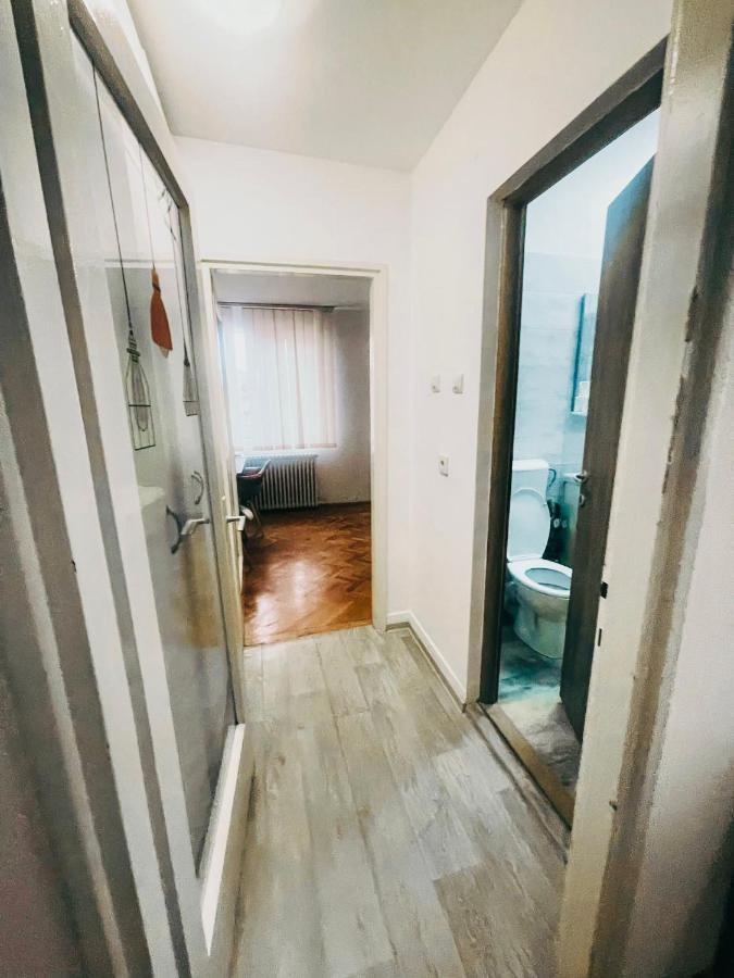 Ultracentral Big Apartment - Near The Opera Square P17 蒂米什瓦拉 外观 照片